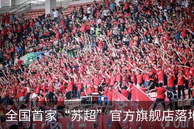 全国首家“苏超”官方旗舰店落地京东 赛事同款球衣、帆布包等满300减20